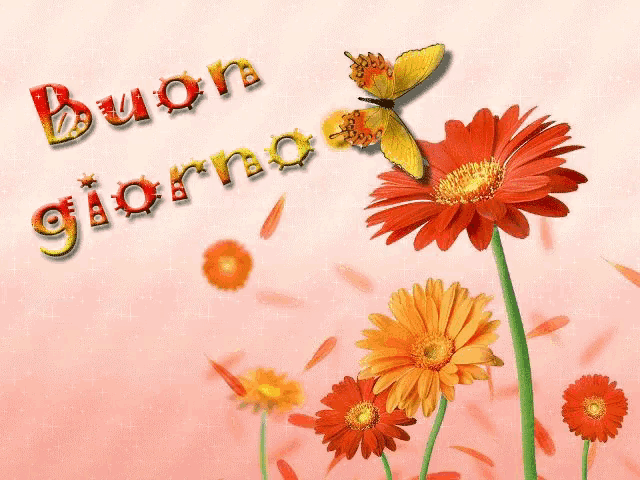 a bunch of flowers with a butterfly and the words buon giorno