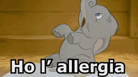 Elefantino Allergia Starnutire Starnuto Proboscide Dumbo GIF - Baby Elephant Allergy Sneeze GIFs