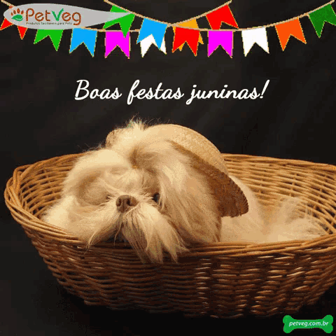 a dog wearing a straw hat is laying in a wicker basket with the words boas festas juninas written above it