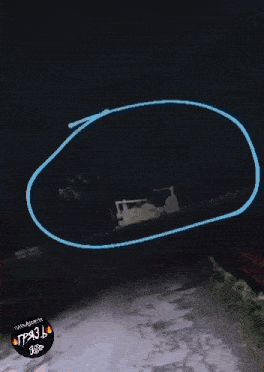 скример GIF
