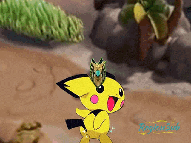 a cartoon of a pikachu with a butterfly on its head and the words region 5d6 on the bottom right