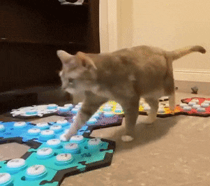 a cat is walking on a puzzle mat on the floor