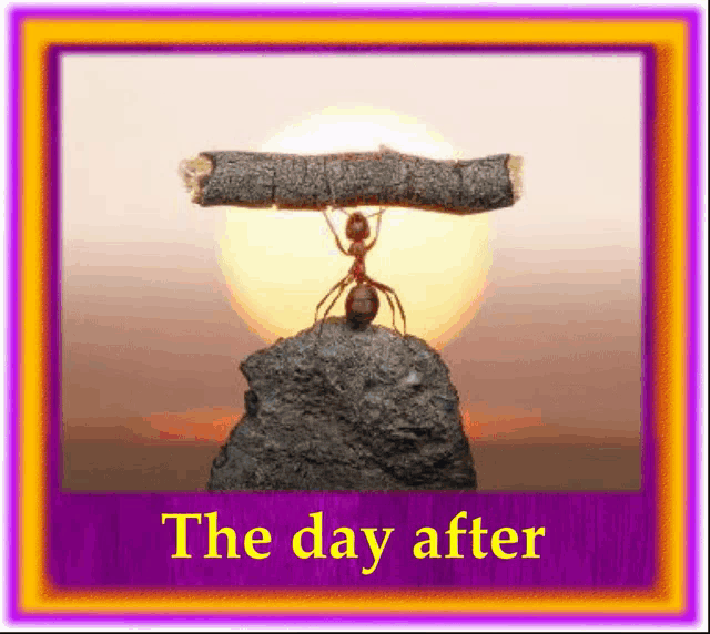 The Day After Is Always A Day Too Late GIF - The Day After Is Always A Day Too Late GIFs