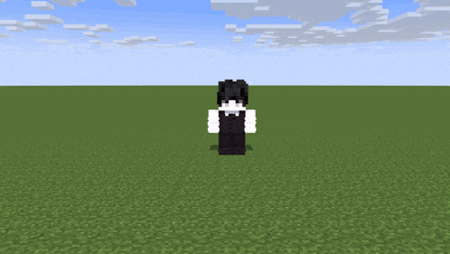 a minecraft character is standing in a field of grass