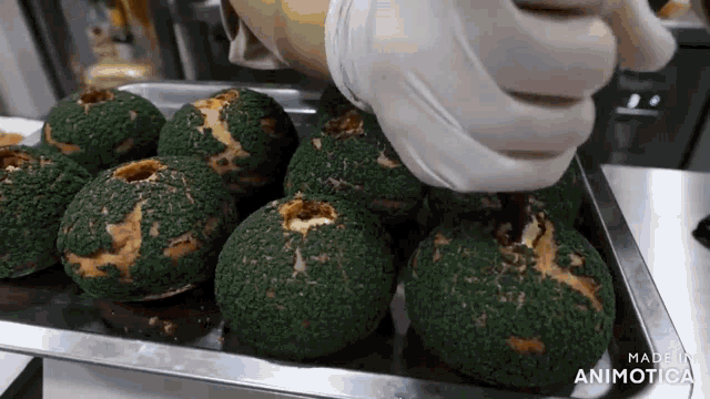 a person wearing gloves is holding a bunch of green balls on a metal tray .