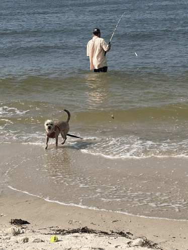 a man is fishing in the ocean while a dog runs along the shore