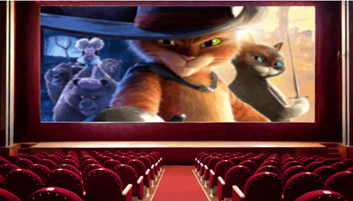 a movie screen shows a cat in a cowboy hat