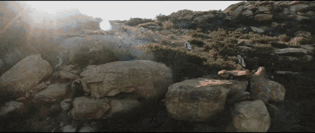 a rocky hillside with the sun shining through the rocks
