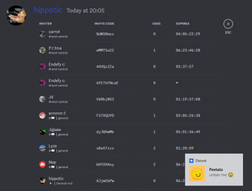 a screenshot of a discord server with hippotic on the top