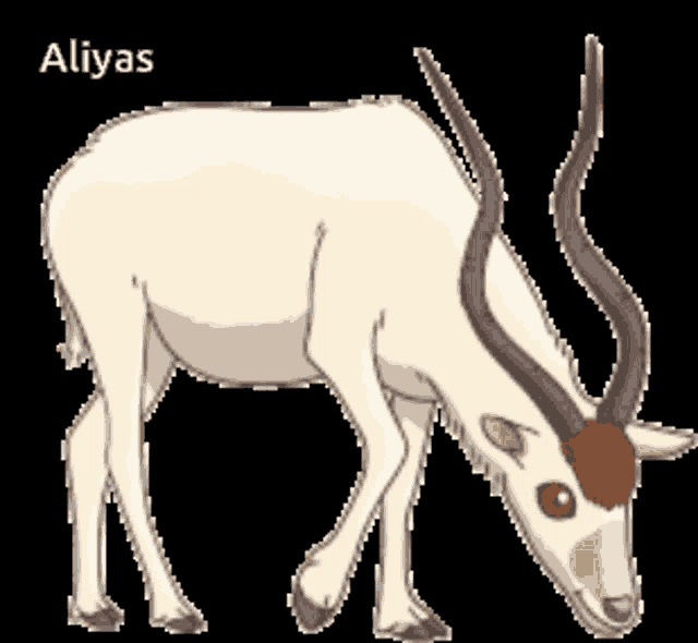 a drawing of an antelope with the name aliyas on it