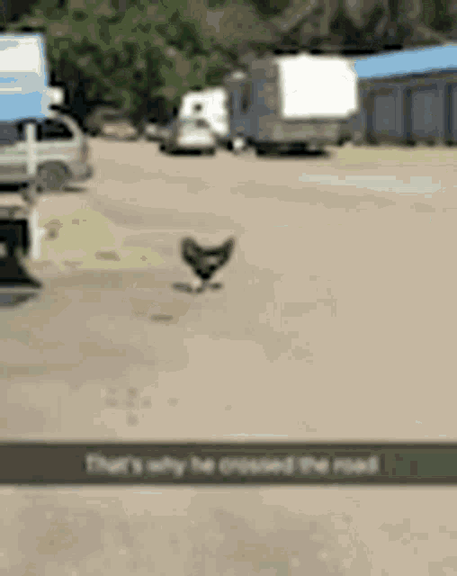 Chicken Road GIF - Chicken Road GIFs
