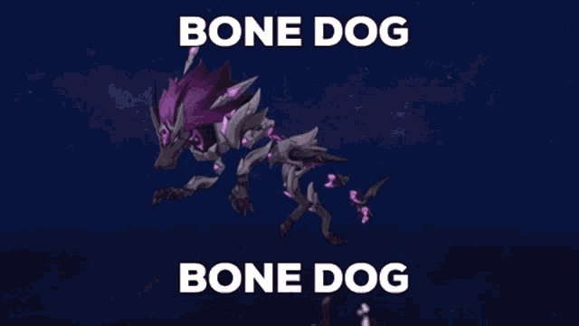 Bone Dog Genshin Impact GIF - Bone Dog Genshin Impact Genshin GIFs