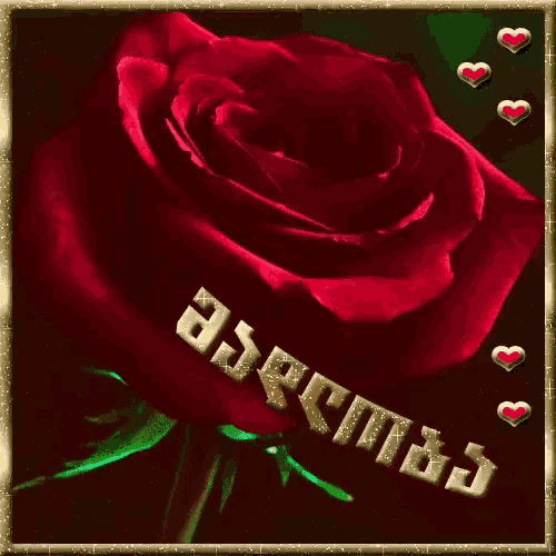 a picture of a red rose with hearts around it and the name a.s.e.r.m.a.s. on it