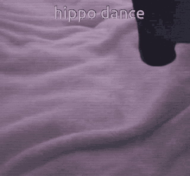 Hippodance Dancing GIF - Hippodance Dancing Hippo GIFs