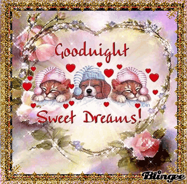 a goodnight sweet dreams card with cats and dogs