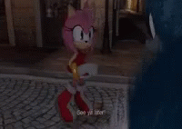 Sonamy Sonic GIF - Sonamy Sonic Amy GIFs
