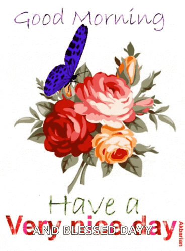 a butterfly sits on a bouquet of flowers with the words good morning have a very blessed day written below it