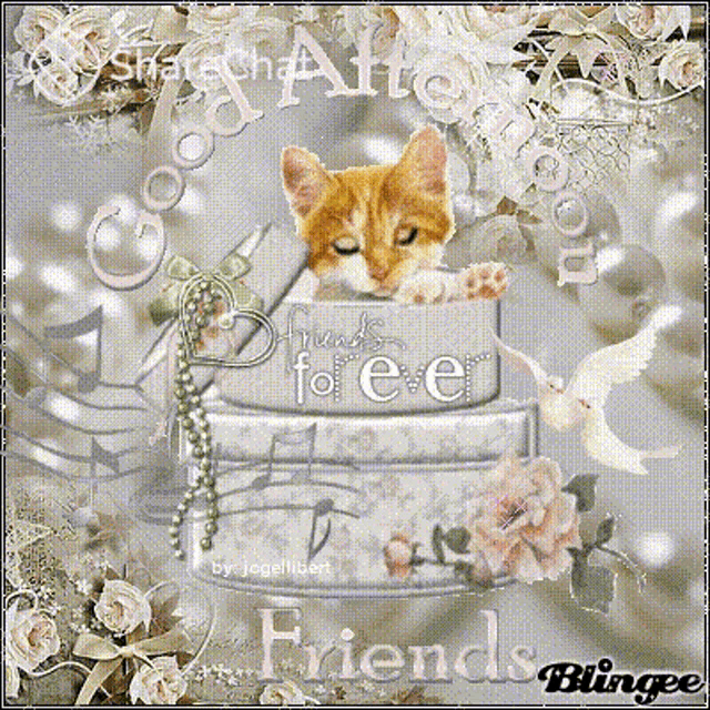 a picture of a cat sitting on top of a cake with the words friends blingee