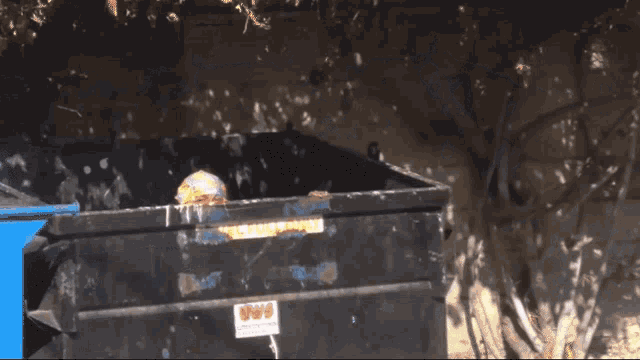 a person is peeking out of a dumpster that says " full only " on it