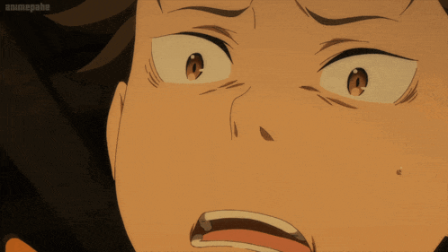 a close up of a person 's face with the word animepahe below