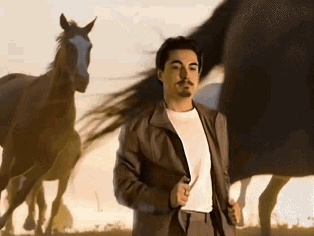 a man with a mustache stands in a field with horses