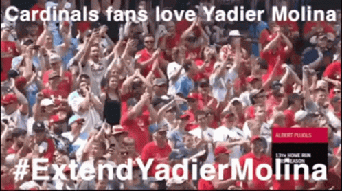 Cardinals Yadier Molina GIF - Cardinals Yadier Molina Yadi GIFs