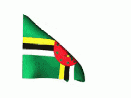 a green and yellow flag with a red circle in the middle