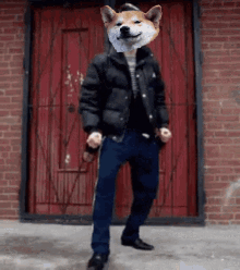 Drunk Fox Dance GIF - Drunk Fox Dance GIFs