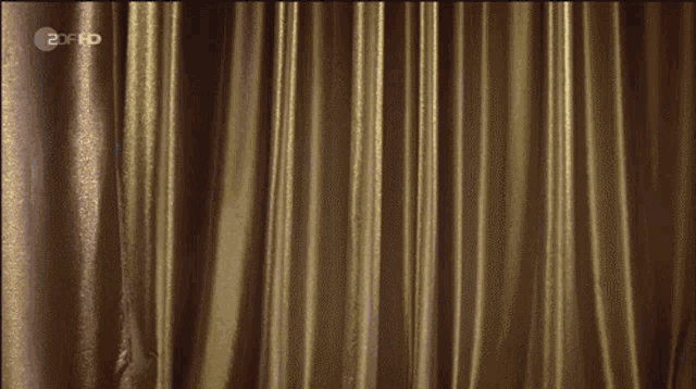 a woman in a blue dress is smiling in front of a gold curtain with 2f hd written on the bottom