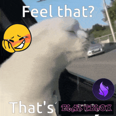 a picture of a dog with the words feel that that 's blazeblox on the bottom