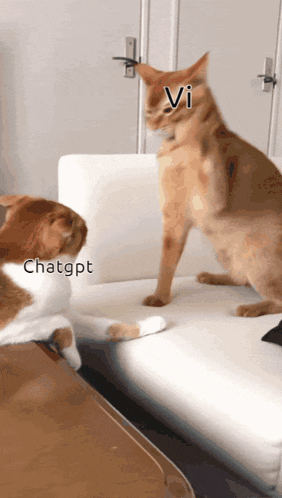 two cats are sitting on a white couch and one of them has the word vi on its head