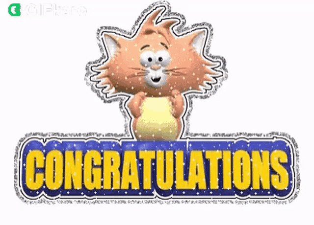 a cartoon cat is holding a ball and says congratulations