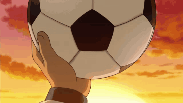 a hand is holding a soccer ball in front of a sunset sky