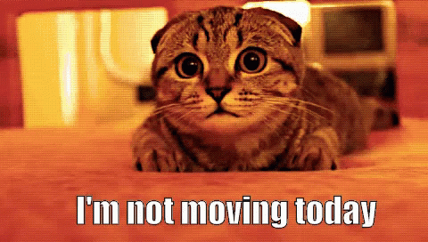 Not Moving GIF - Not Moving Not Moving Today Im Not Moving GIFs