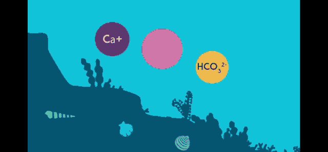 a cartoon illustration of a coral reef with a yellow circle in the middle with co2 bubbles coming out of it