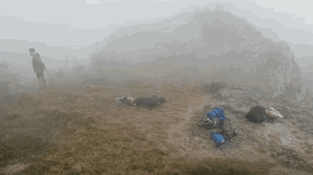 a person standing on top of a hill in a foggy area