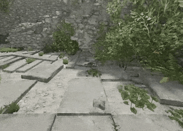 a stone walkway with a tree in the middle