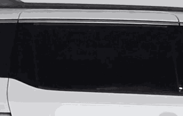a white van with a black window and a black roof .