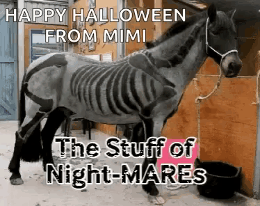 a horse that has been painted like a skeleton and says happy halloween from mimi the stuff of nightmares