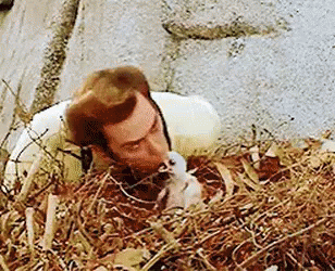Ace Ventura Feeding Baby Bird GIF - Baby Bird Baby Bird Feeding Baby Bird Hungry GIFs