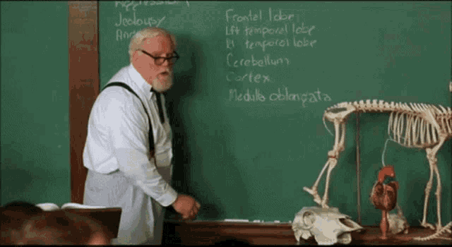 a man stands in front of a chalkboard with the words frontal lobe written on it