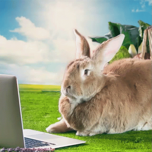 Sniffing Peter Rabbit GIF - Sniffing Peter Rabbit Peter Rabbit2the Runaway GIFs