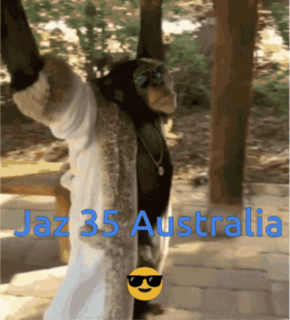 a picture of a chimpanzee wearing sunglasses and a fur coat with the words jaz 35 australia below it