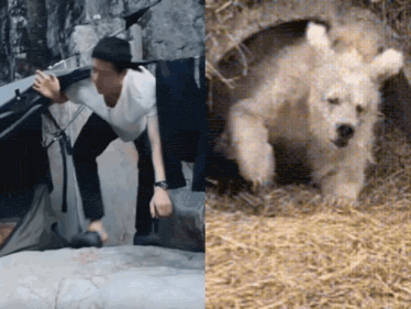 a picture of a man and a picture of a dog in a hole