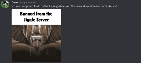 a screenshot of a discord chat with the words banned from the jiggly server on the bottom