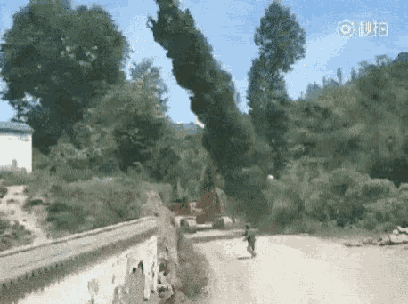 Logging Logging Accident GIF - Logging Logging Accident Bet You Cant Get Him First Try GIFs
