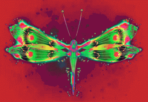 N3v N3v1773 GIF - N3v N3v1773 Butterfly GIFs