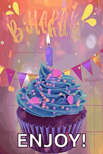 a birthday cupcake with blue frosting and sprinkles and a candle