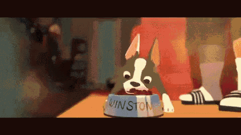 a dog is sitting in a bowl that says winston on it .