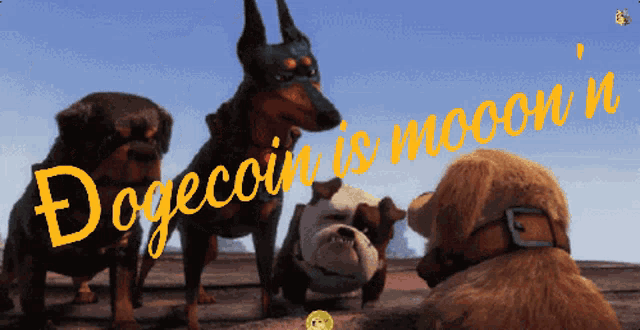 a dogecoin is moon n advertisement with three dogs in the background